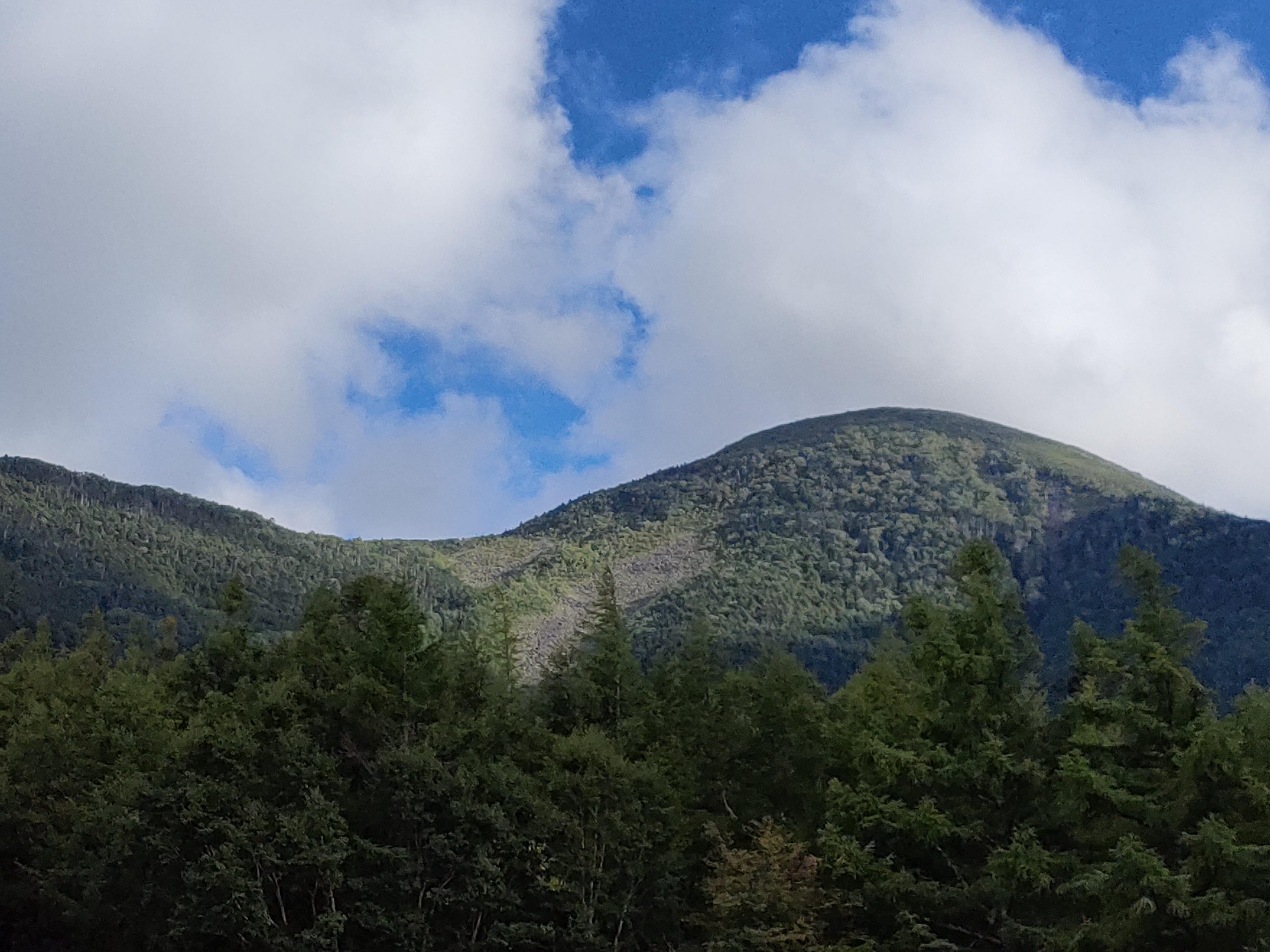 山に登って考えた。自然の浄化力と癒しの力ってすごい！